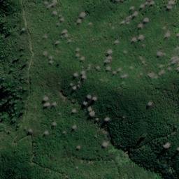 Satellite imagery of Burnt Point, NZ