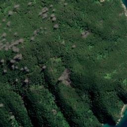 Satellite imagery of Burnt Point, NZ