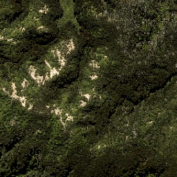 Satellite imagery of Te Karetu Point, NZ