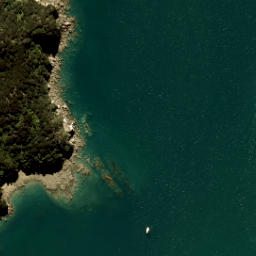 Satellite imagery of Tekaritu Point, NZ