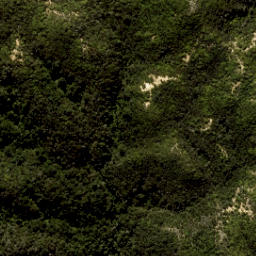 Satellite imagery of Yellow Point, NZ