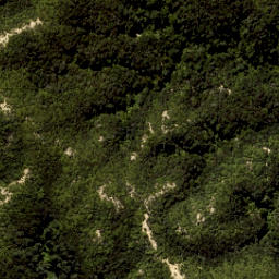 Satellite imagery of Yellow Point, NZ