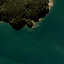 Satellite imagery of Tekaritu Point, NZ