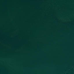 Satellite imagery of Tekaritu Point, NZ