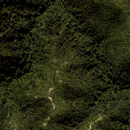 Satellite imagery of Yellow Point, NZ
