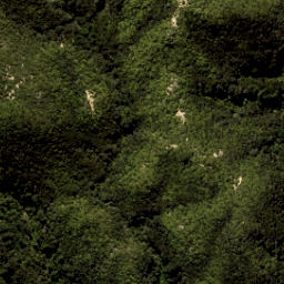 Satellite imagery of Yellow Point, NZ