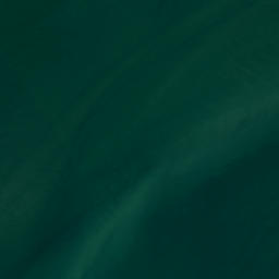 Satellite imagery of Tekaritu Point, NZ