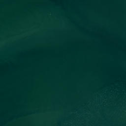 Satellite imagery of Tekaritu Point, NZ
