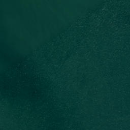 Satellite imagery of Tekaritu Point, NZ