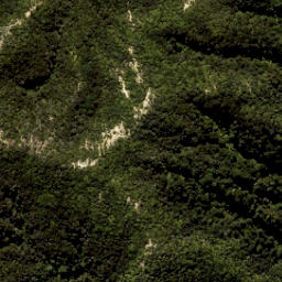 Satellite imagery of Yellow Point, NZ