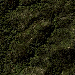 Satellite imagery of Guilbert Point, NZ
