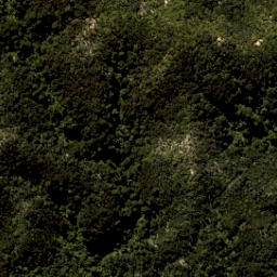 Satellite imagery of Guilbert Point, NZ