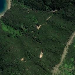 Satellite imagery of Paarekeke Point, NZ