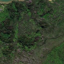 Satellite imagery of Treble Tree Point (Otuhoto), NZ