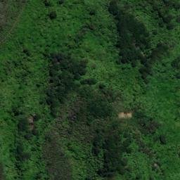 Satellite imagery of Treble Tree Point (Otuhoto), NZ