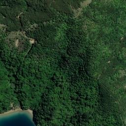Satellite imagery of Paarekeke Point, NZ