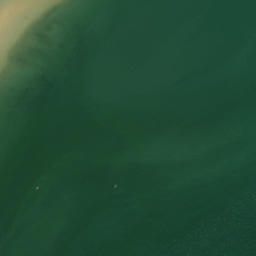Satellite imagery of Guilbert Point, NZ