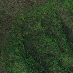 Satellite imagery of Treble Tree Point (Otuhoto), NZ