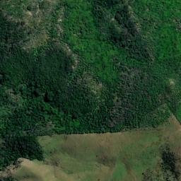 Satellite imagery of Tawaroa Point, NZ