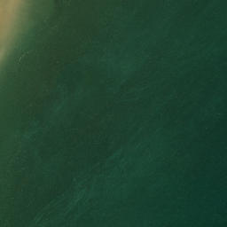 Satellite imagery of Tokongawha Point, NZ