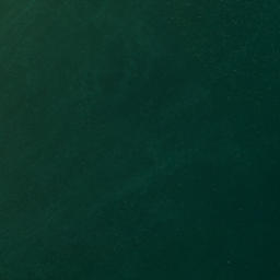 Satellite imagery of Tokongawha Point, NZ