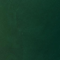 Satellite imagery of Tokongawha Point, NZ