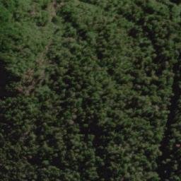 Satellite imagery of Punta Beruti, AR