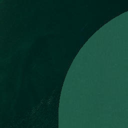 Satellite imagery of Tokongawha Point, NZ