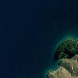 Satellite imagery of Sheep Point, NZ