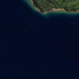 Satellite imagery of Tapapa Point, NZ