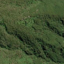 Satellite imagery of Matakoi Point, NZ