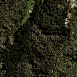 Satellite imagery of Anarewa point, NZ