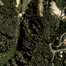 Satellite imagery of Anarewa point, NZ