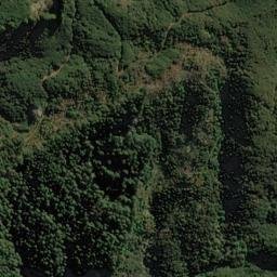 Satellite imagery of Matarau Point, NZ