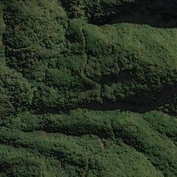 Satellite imagery of Matarau Point, NZ