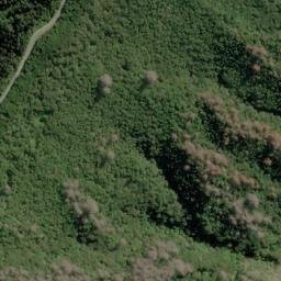 Satellite imagery of Red Point, NZ