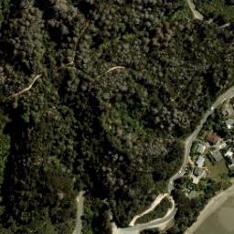 Satellite imagery of Anarewa point, NZ