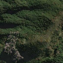 Satellite imagery of Matarau Point, NZ