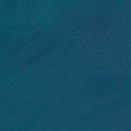 Satellite imagery of Taunui Point, NZ