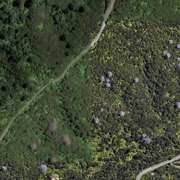 Satellite imagery of N ELAINE, NZ