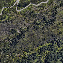 Satellite imagery of N ELAINE, NZ