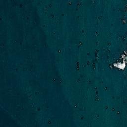 Satellite imagery of Low Head Historic Site, AU