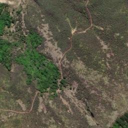 Satellite imagery of Spencer Point, NZ