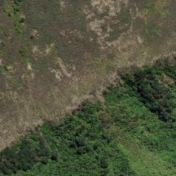 Satellite imagery of Spencer Point, NZ