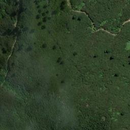 Satellite imagery of 1611, NZ