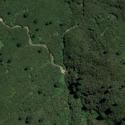 Satellite imagery of 1611, NZ