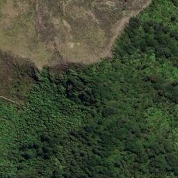 Satellite imagery of Spencer Point, NZ
