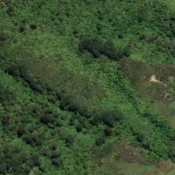 Satellite imagery of Spencer Point, NZ
