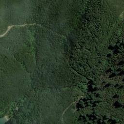 Satellite imagery of 1611, NZ