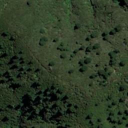 Satellite imagery of 1611, NZ